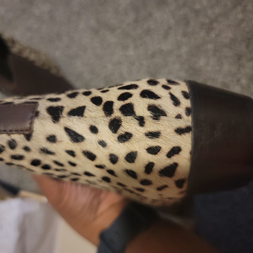 SOLD - Picture 4 of 13